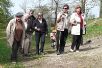 sázení stromů 2010