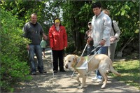 Zasaď si svůj strom