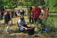 Zasaď si svůj strom