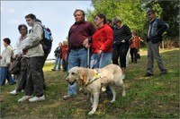 Zasaď si svůj strom