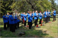 Zasaď si svůj strom